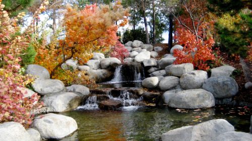 Lire la suite à propos de l’article L’homme escalade vers le sommet – Proverbe chinois (semaine 06/52)