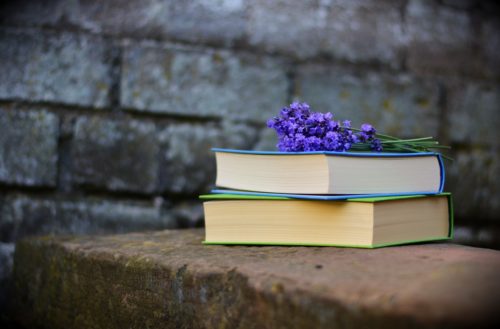 Lire la suite à propos de l’article Proverbe chinois de la semaine (10/52)