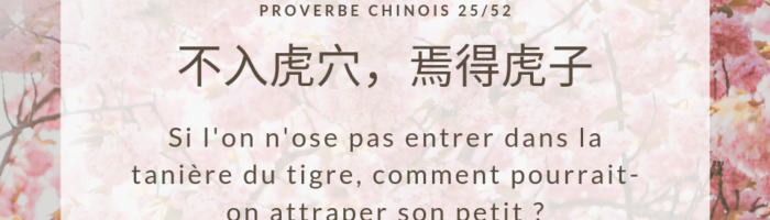 Tigre – proverbe chinois